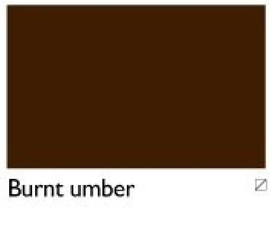 Cobra Artist 150ml – 409 Burnt umber