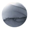 Copic Ink 12ml – C7 Cool Gray No.7