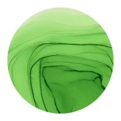 Copic Ink 12ml – FYG2 Fluorescent Dull Yellow Green