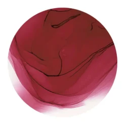 Copic Ink 12ml – R39 Garnet