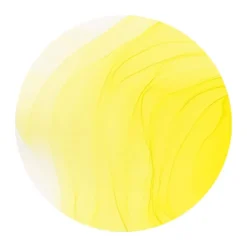 Copic Ink 12ml – Y04 Acacia