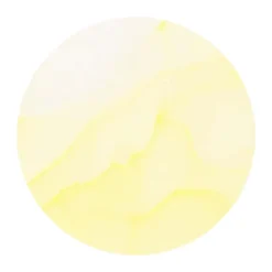 Copic Ink 12ml – Y00 Barium Yellow