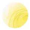 Copic Ink 12ml – YG21 Anise