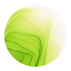 Copic Ink 12ml – YG25 Celadon Green