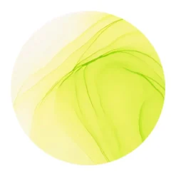 Copic Ink 12ml – YG01 Green Bice