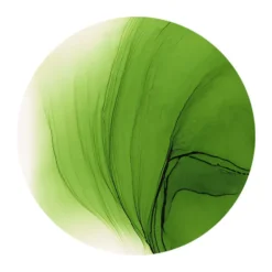 Copic Ink 12ml – YG67 Moss