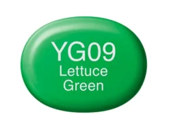 Copic Marker Sketch – YG09 Lettuce Green