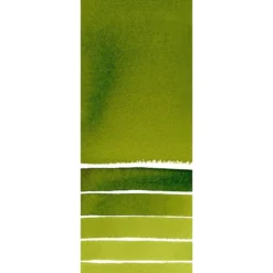 Daniel Smith – Akvarell 15ml 102 Sap Green