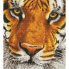 Diamond Dotz DD8 – Bengal Magic