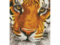 Diamond Dotz DD8 – Bengal Magic