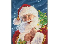 Diamond Dotz DD12 – Christmas Night