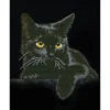 Diamond Dotz DD5 – Midnight Cat