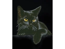 Diamond Dotz DD5 – Midnight Cat
