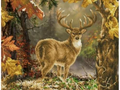 Diamond Dotz DD10 – Prince of the Forest