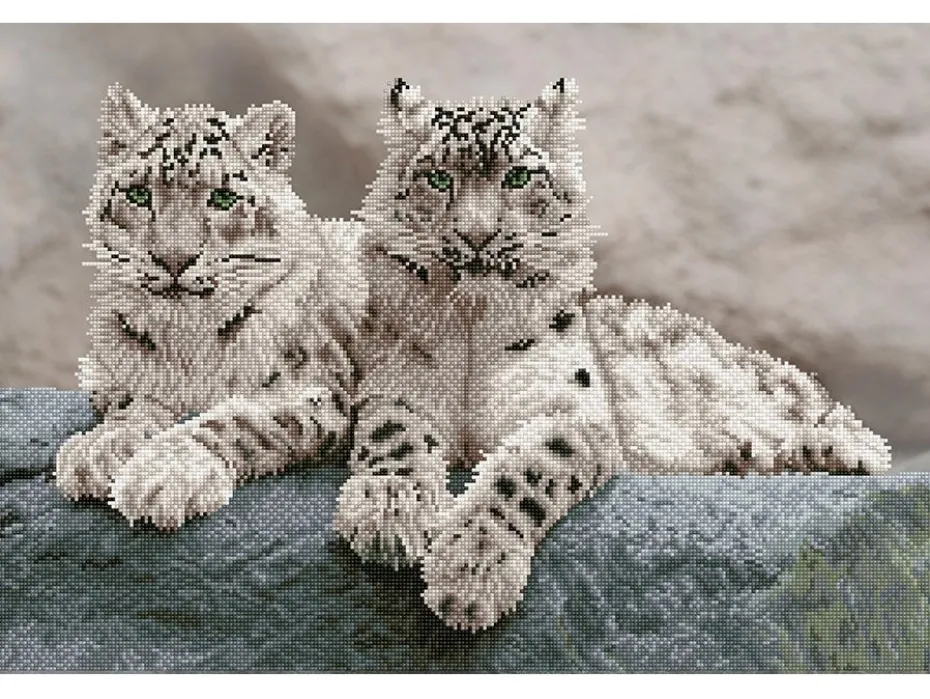 Diamond Dotz DD12 – Snow Leopards Hemis National Park