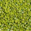 Diamond Dotz – 12g – 2,8mm – 5008 Bright Green AB