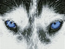 Diamond Dotz Squares DQ7 – Mystic Husky