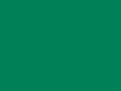 Eclair Glidelås Plast S1 18cm – 475 Grønn