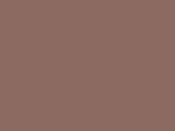 Eclair Glidelås Plast S6 22cm – 932 Nougat