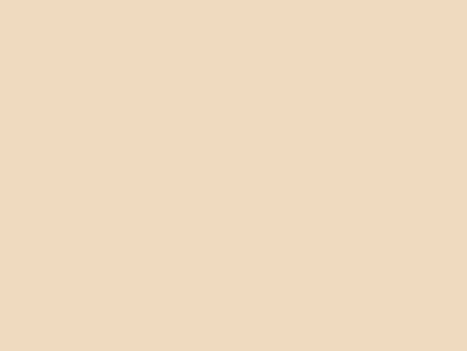Eclair Glidelås Plast S6 22cm – 849 Sand