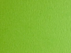 Fabriano Colore 50x70cm 200g – 230 Verde Pisello / Pea