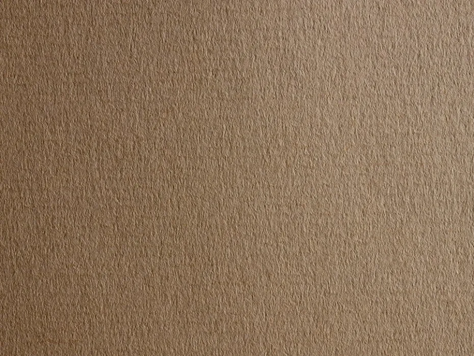 Fabriano Ingres – 160g – 704 Cenere 50×70 Lys grå