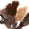 Fjær mix 18 stk Beige/brun