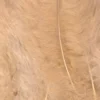 Fjær 15 stk Beige