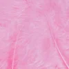 Fjær 15 stk Rosa