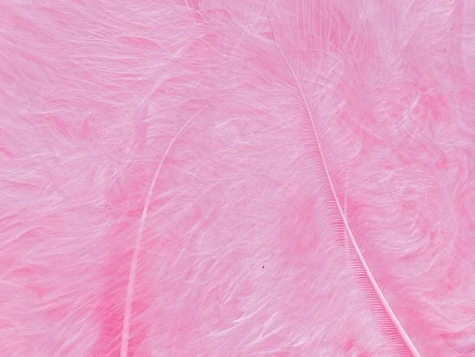 Fjær 15 stk Rosa