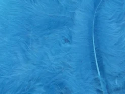 Fjær 15 stk Turkis