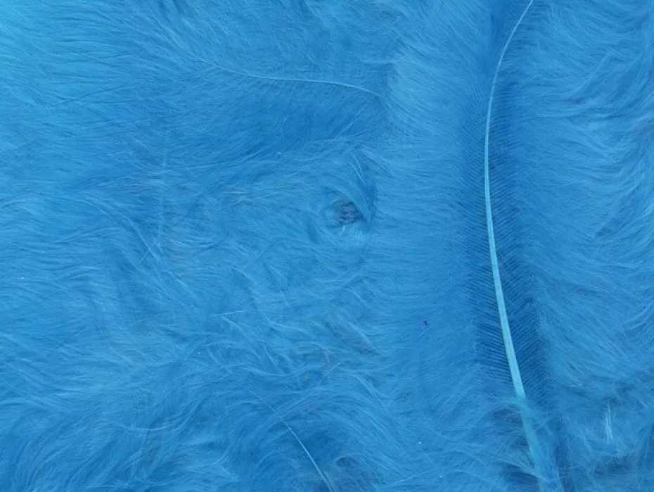 Fjær 15 stk Turkis