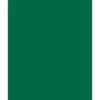 Folia Fotokartong 50×70 – 300g – 58 Grangrønn