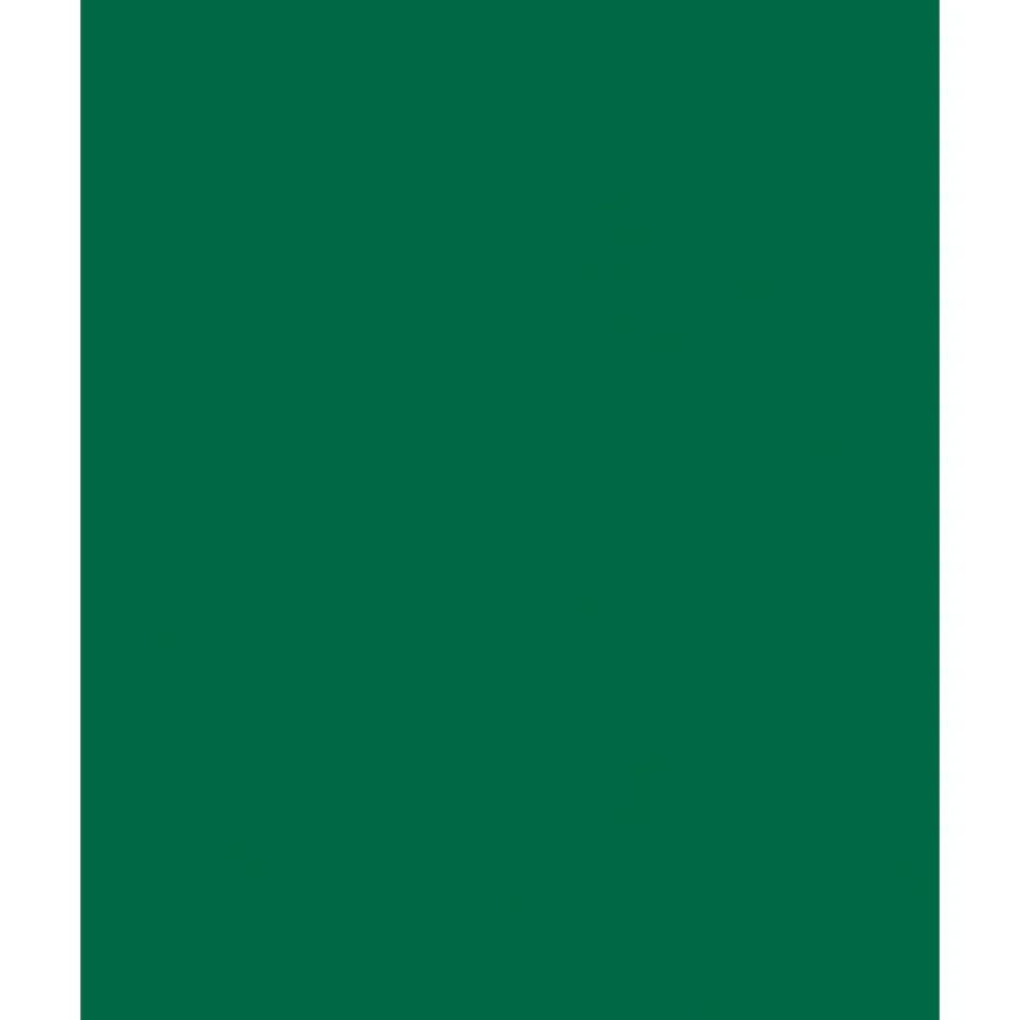 Folia Fotokartong 50×70 – 300g – 58 Grangrønn