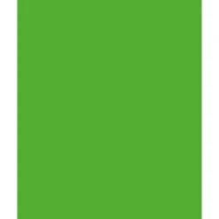 Folia Fotokartong 50×70 – 300g – 55 Gressgrønn
