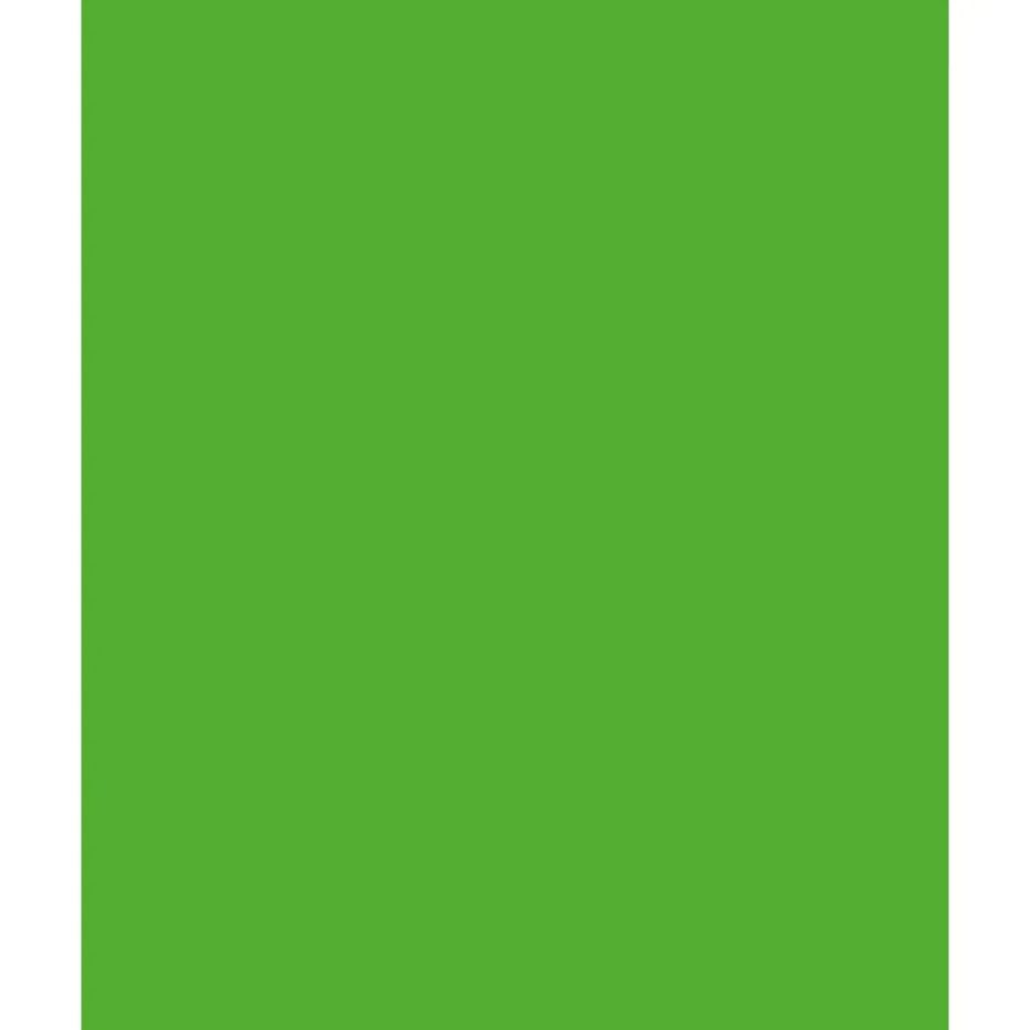 Folia Fotokartong 50×70 – 300g – 55 Gressgrønn