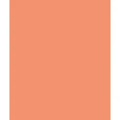 Folia Fotokartong 50×70 – 300g – 45 Lakserosa