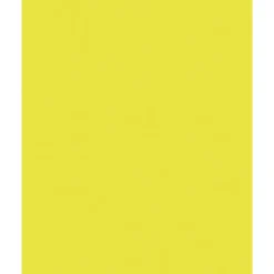 Folia Fotokartong 50×70 – 300g – 49 Lime