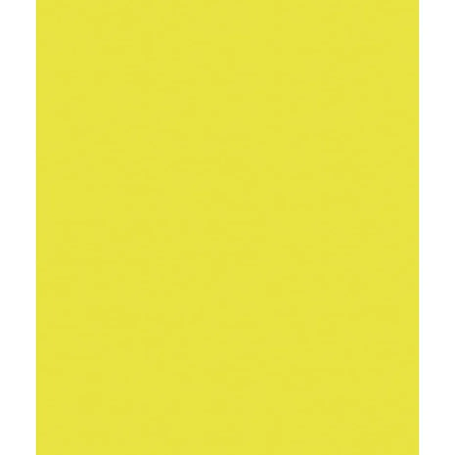Folia Fotokartong 50×70 – 300g – 49 Lime