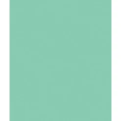 Folia Fotokartong 50×70 – 300g – 25 Mint