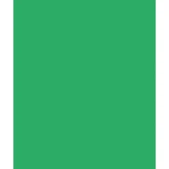 Folia Fotokartong 50×70 – 300g – 54 Smaragdgrønn