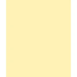 Folia Fotokartong 50×70 – 300g – 11 Strågul