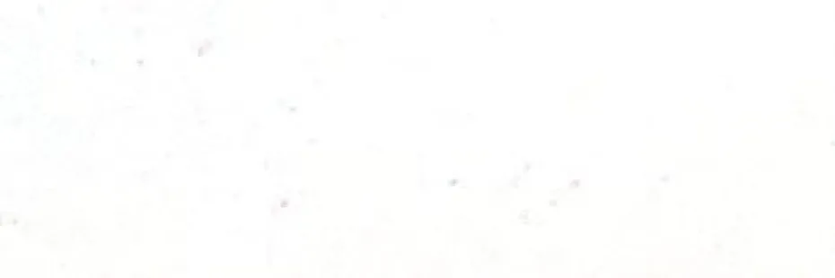 Folia Plakatkartong 380g 48x68cm – 700 Hvit