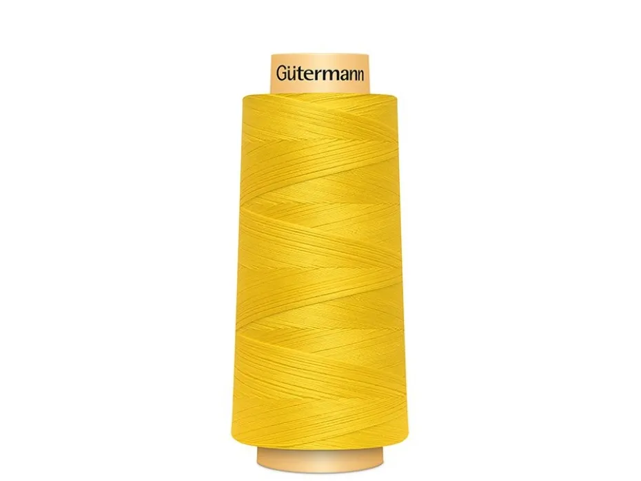 Gütermann C Ne 50 1829m – 0588