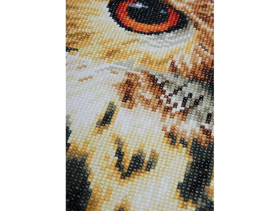 Hobbysett – Diamond painting – Ugle