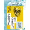 Leonardo 4 Anatomy for artists