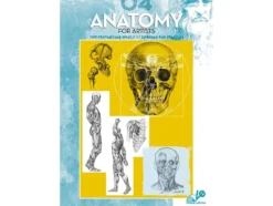 Leonardo 4 Anatomy for artists