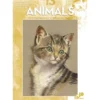 Leonardo 13 Animals