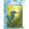 Leonardo 28 Birds