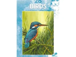 Leonardo 28 Birds